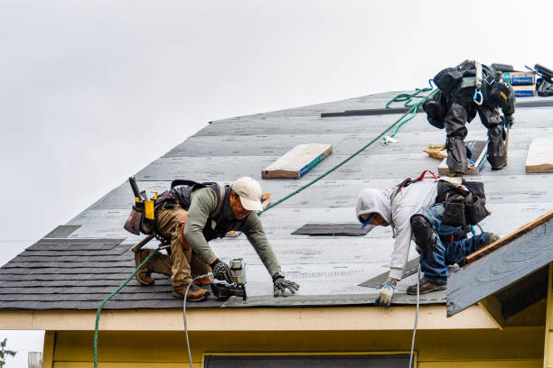 Professional Gutter Installation technician working in Anderson, TX